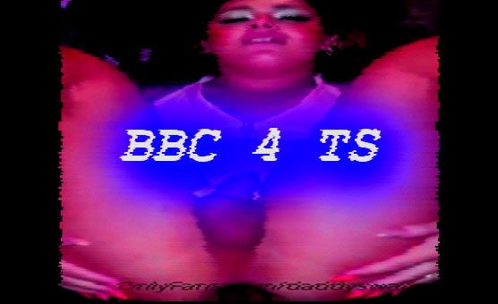 BBC 4 TS