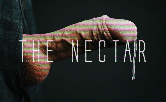 The Nectar - CEI PMV