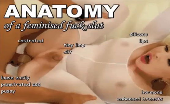 Anatomy Of A Feminised Fuck Slut