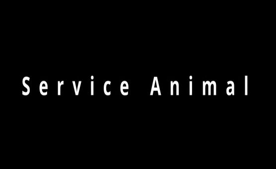 Service Animal