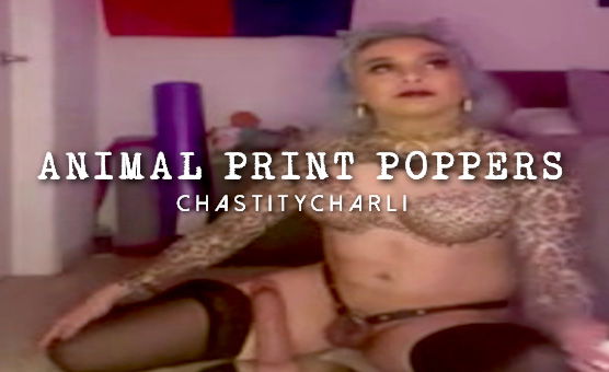 Animal Print Poppers
