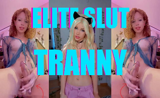 Elite Stut Tranny PMV