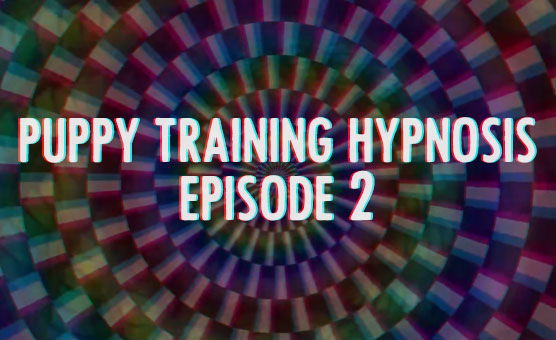 Puppy Training Hypnosis - Episode 2 [Full Version]