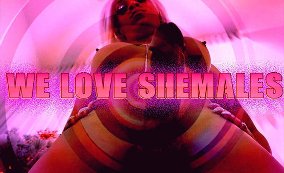 We Love Shemales