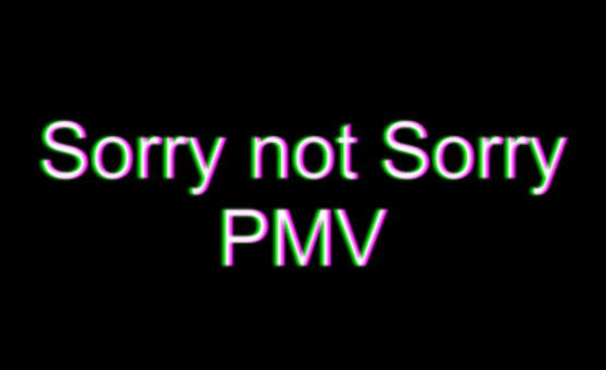 Sorry Not Sorry