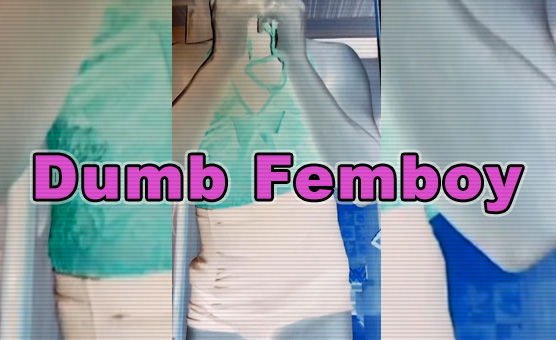 Dumb Femboy