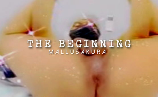 The Beginning