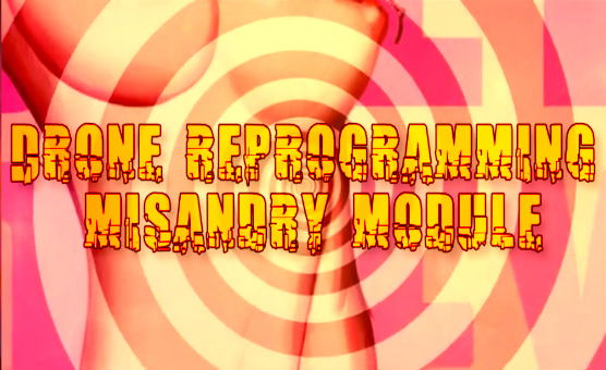 Drone Reprogramming Misandry Module