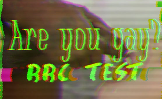 Are You Gay - BBC Test