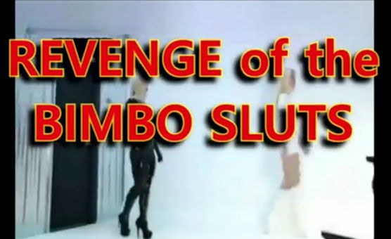 Revenge Of The Bimbo Sluts