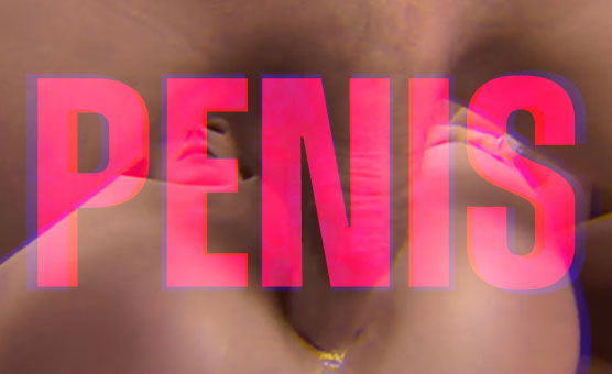 Penis