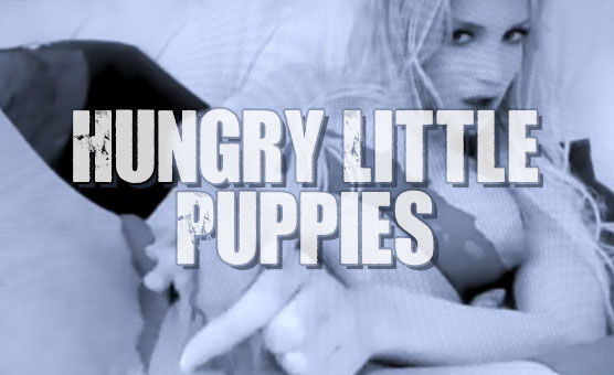 Hungry Little Puppies