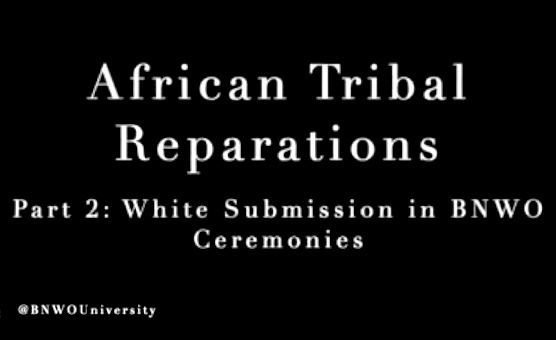 African Tribal Reparations - Part 2 - White Submission In BNWO Ceremonies