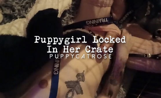 Puppygirl Locked In Her Crate