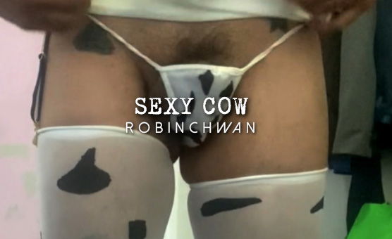 Sexy Cow