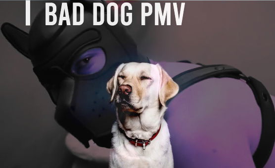 Bad Dog PMV
