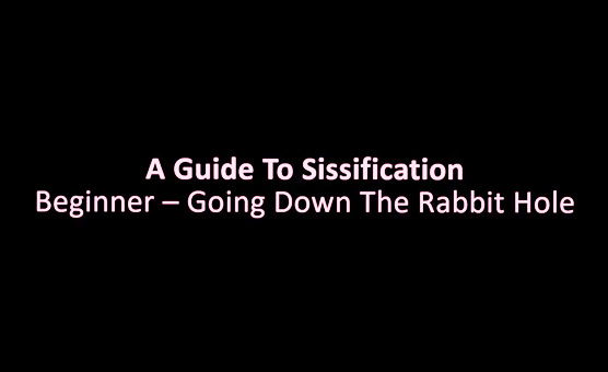 A Guide To Sissification Beginner - Going Down The Rabbit Hole