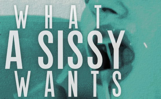 What A Sissy Wants - PMV Teaser