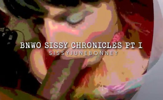 BNWO Sissy Chronicles Pt I