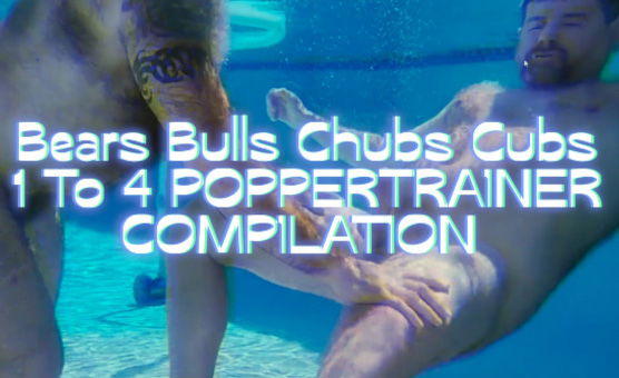 Bears Bulls Chubs Cubs 1 To 4 Poppertrainer Compilation