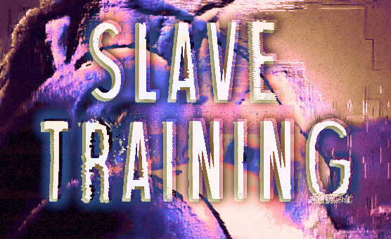 Slave Training