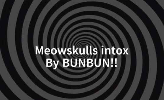 Meowskulls Intox