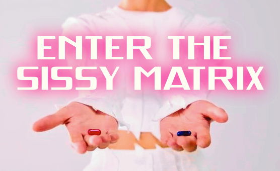 Enter The Sissy Matrix - MatrixPMV