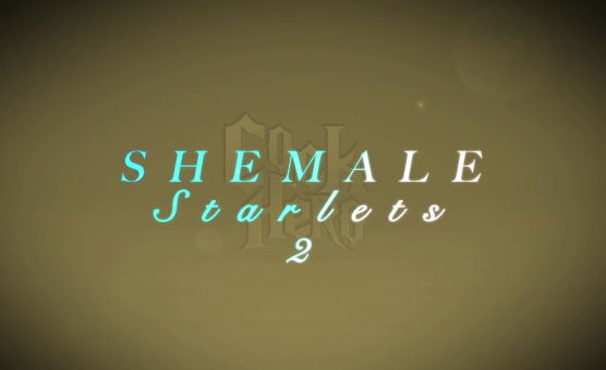 Cock Hero - Shemale Starlets 2