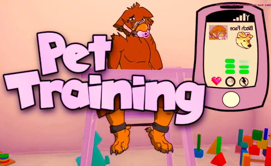 Pet Training