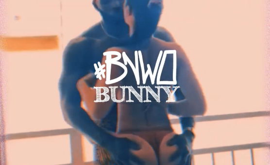 BNWO Bunny