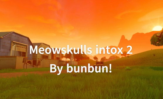 Meowskulls Intox 2