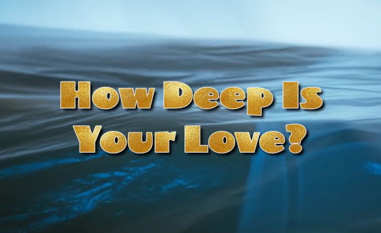 How Deep Is Your Love