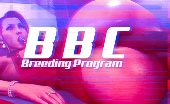 BBC Breeding Program - HMV