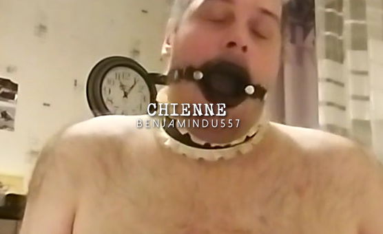 Chienne