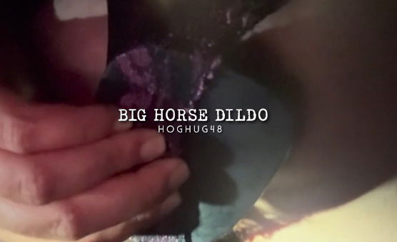 Big Horse Dildo