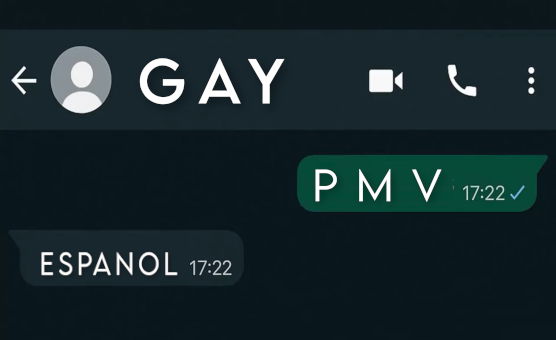 Gay PMV Espanol