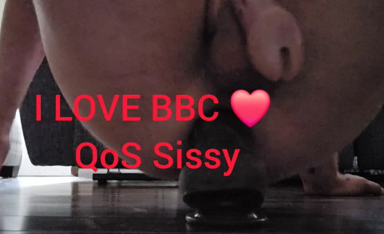 I Love BBC QOS Sissy