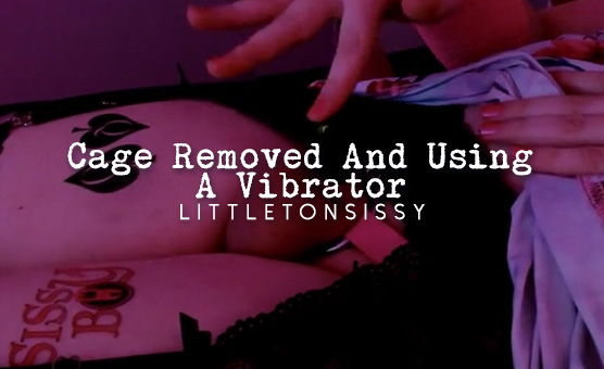 Cage Removed And Using A Vibrator