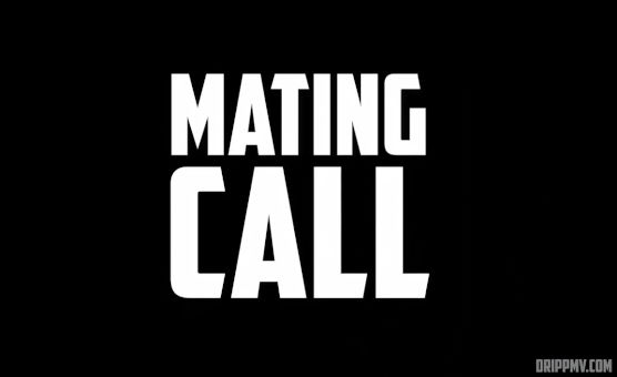 Mating Call By Drippmv