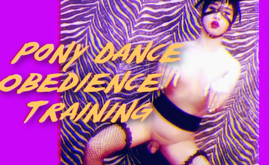 Pony Dance Obedience Training