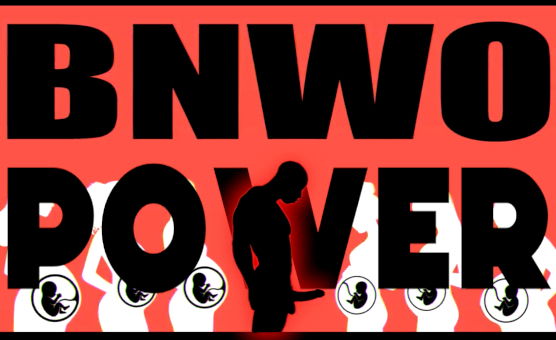 BNWO Power