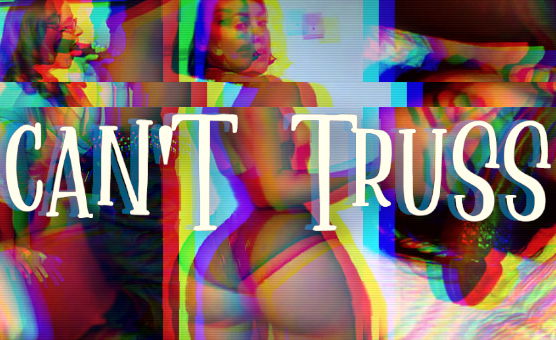 Cant Truss - BBC PMV