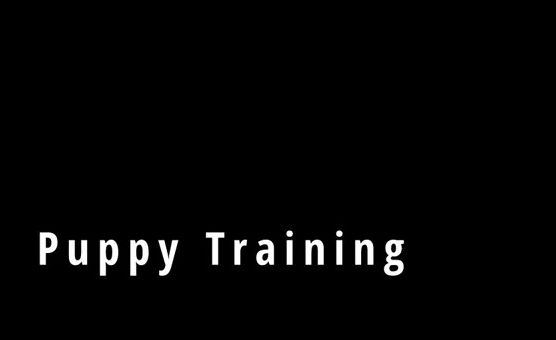 Puppy Training Hypno