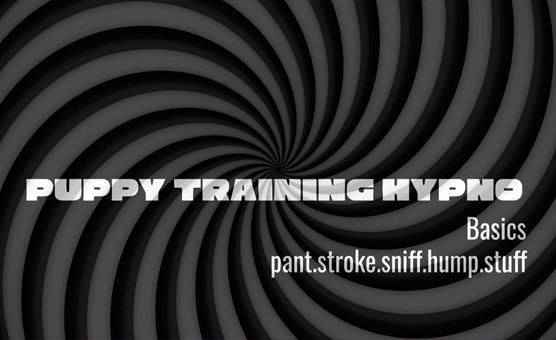 Puppy Training Hypno Basics Pt 2