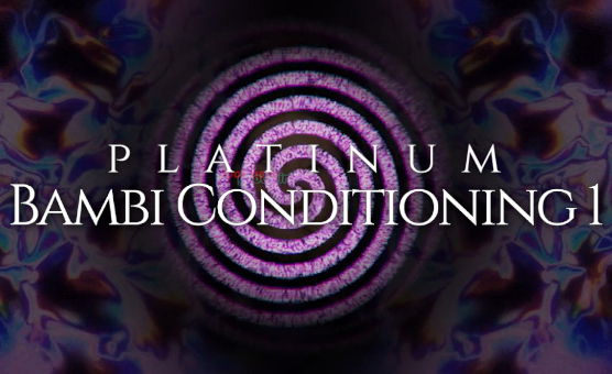 Platinum Bambi Conditioning 1