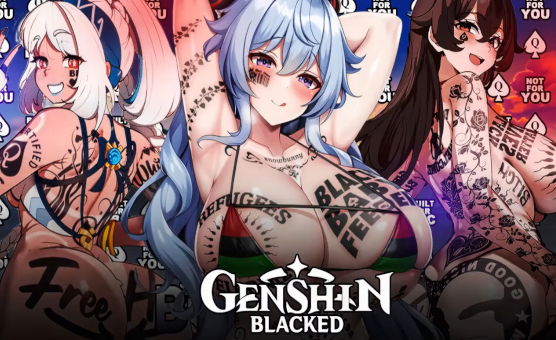 HMV - Genshin Blacked 2