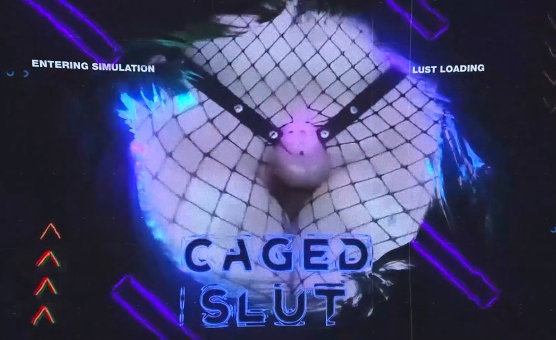 Caged Slut