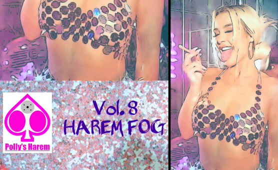 Pollys Harem No 8 - Harem Fog