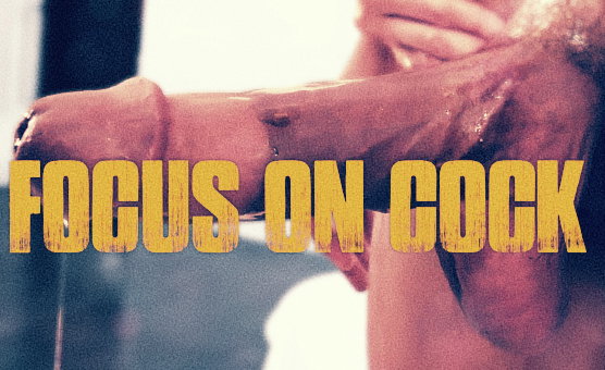 Focus On Cock