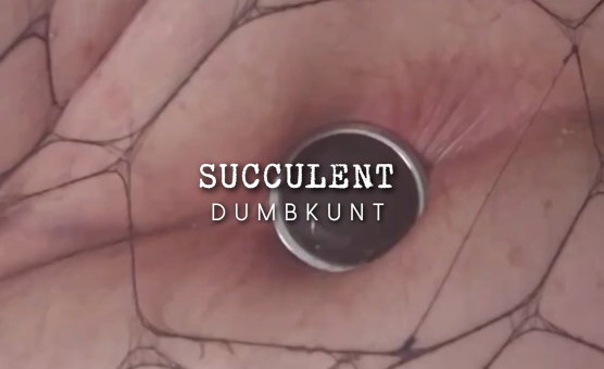 Succulent